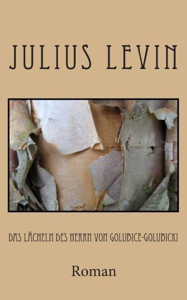 Cover for Julius Levin · Das Lacheln Des Herrn Von Golubice-golubicki (Paperback Book) (2013)