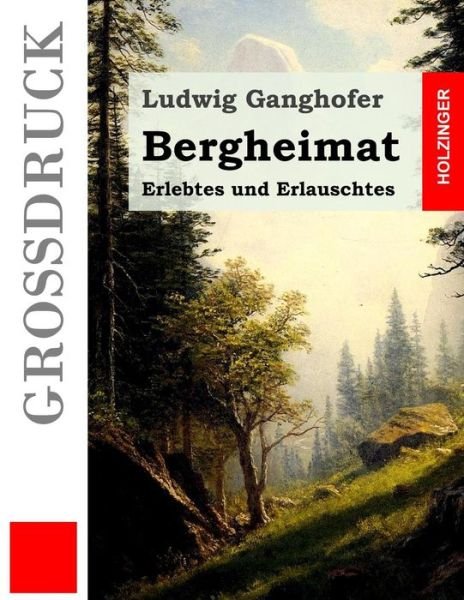 Cover for Ludwig Ganghofer · Bergheimat (Grossdruck) (Paperback Book) (2016)