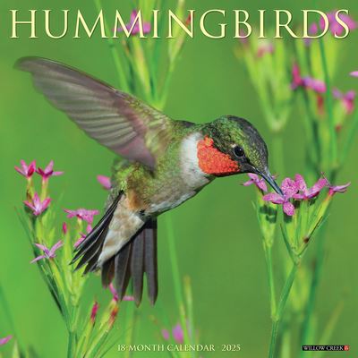 Cal 25 Hummingbirds 2025 Wall - Wall - Książki - Willow Creek Press Calendars - 9781549243400 - 1 września 2024