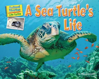 Cover for Ellen Lawrence · Sea Turtle's Life (Book) (2020)