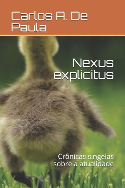 Cover for Carlos a de Paula · Nexus explicitus (Paperback Book) (2018)