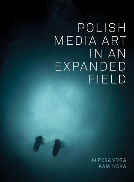 Cover for Kaminska, Aleksandra (Assistant Professor, Department of Communication, Universite de Montreal) · Polish Media Art in an Expanded Field (Paperback Book) (2016)
