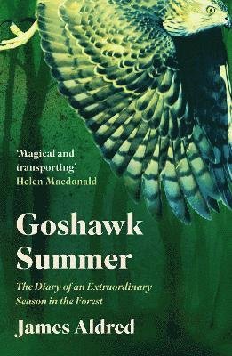Cover for James Aldred · Goshawk Summer: The Diary of an Extraordinary Season in the Forest - WINNER OF THE WAINWRIGHT PRIZE FOR NATURE WRITING 2022 (Taschenbuch) (2022)