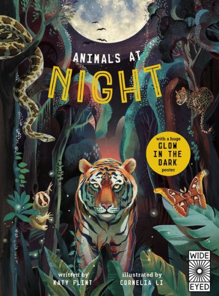 Cover for Katy Flint · Animals at Night - Glow in the Dark (Book) (2019)