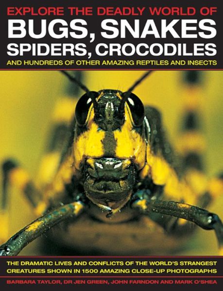 Explore the Deadly World of Bugs, Snakes, Spiders, Crocodiles - Barbara Taylor - Books - Anness Publishing - 9781843228400 - March 12, 2013