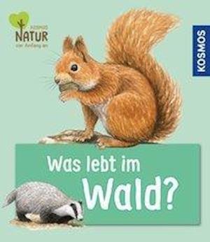 Cover for Oftring · Was lebt im Wald? (Book)