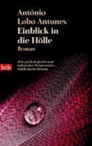 Cover for António Lobo Antunes · Einblick in die Hölle (Taschenbuch) (2011)