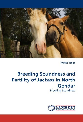 Cover for Aweke Tsega · Breeding Soundness and Fertility of Jackass in North Gondar (Pocketbok) (2010)