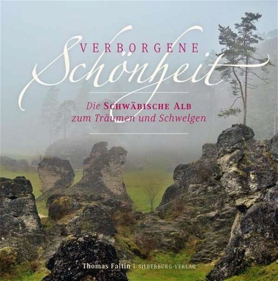 Cover for Faltin · Verborgene Schönheit (Book)