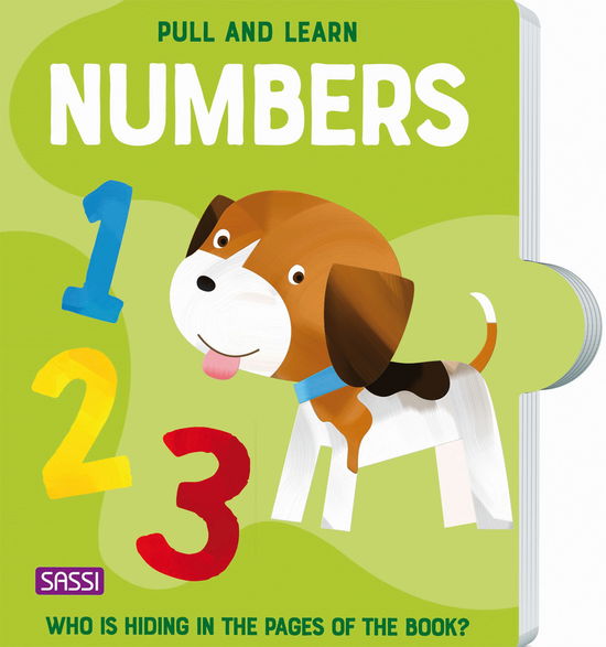 Cover for M Gaule · Pull &amp; Learn Numbers (Book) (2022)