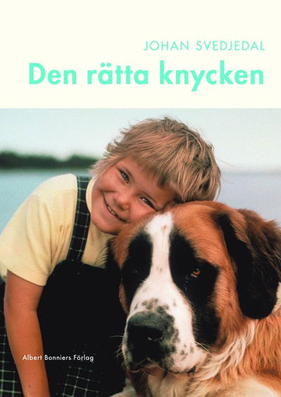 Den rätta knycken : Astrid Lindgrens Vi på Saltkråkan - Johan Svedjedal - Books - Albert Bonniers förlag - 9789100802400 - September 11, 2024