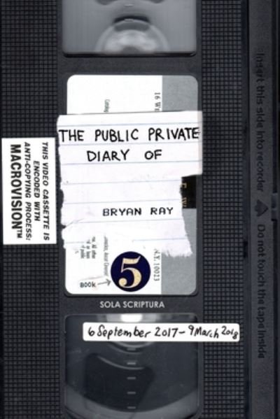 Cover for Bryan Ray · The Public Private Diary (Pocketbok) (2020)