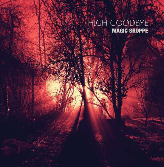 High Goodbye - Magic Shoppe - Music - LITTLE CLOUD - 0783583360401 - June 16, 2017