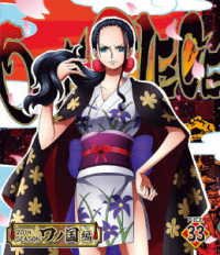 Cover for Oda Eiichiro · One Piece 20th Season Wanokuni Hen Piece.33 (MBD) [Japan Import edition] (2022)