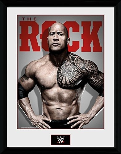 Cover for Wrestling · Wrestling - Wwe - The Rock Photo (Stampa In Cornice 30x40 Cm) (CD)