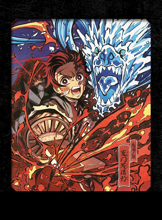 Cover for Demon Slayer · Box #02 (Eps 14-26) (Limited Edition) (3 Dvd) (DVD) [Limited edition] (2020)