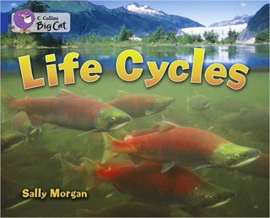 Cover for Sally Morgan · Life Cycles: Band 16/Sapphire - Collins Big Cat (Taschenbuch) (2011)
