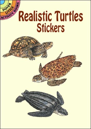 Cover for Sy Barlowe · Realistic Turtles Stickers - Little Activity Books (MERCH) (2003)