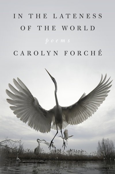 Cover for Carolyn Forche · In the Lateness of the World (Gebundenes Buch) (2020)