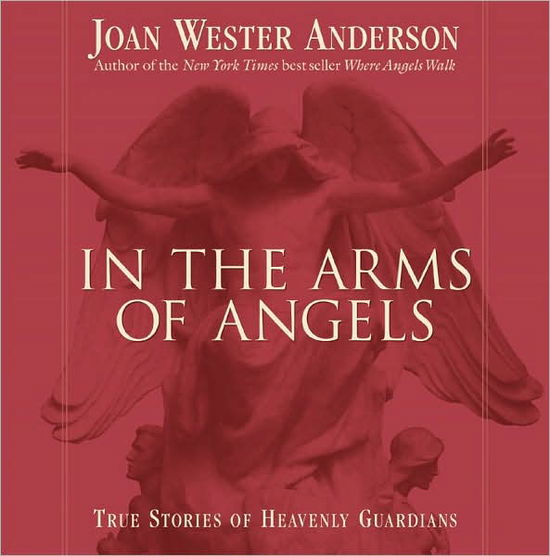 In the Arms of Angels: True Stories of Heavenly Guardians - Joan Wester Anderson - Książki - Loyola University Press,U.S. - 9780829420401 - 1 września 2004