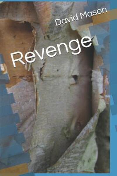 Cover for David Mason · Revenge (Paperback Book) (2019)