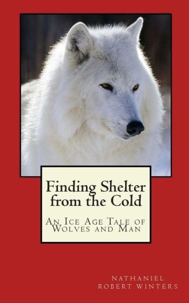 Cover for N Robert Winters · Finding Shelter from the Cold (Paperback Bog) (2011)