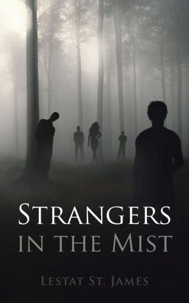 Cover for Lestat St. James · Strangers in the Mist (Paperback Book) (2013)