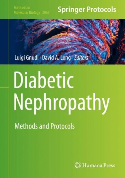 Cover for Diabetic Nephropathy (Book) [1st ed. 2020 edition] (2019)