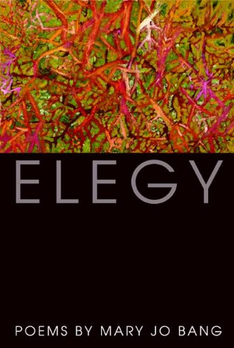 Cover for Mary Jo Bang · Elegy: Poems (Taschenbuch) (2009)