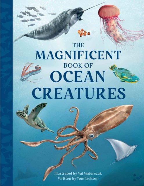Cover for Tom Jackson · The Magnificent Book of Ocean Creatures - The Magnificent Book of (Hardcover bog) (2024)