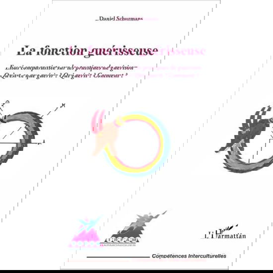 Cover for Daniel Schurmans · La fonction guérisseuse (Paperback Book) (2021)