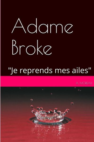 Cover for Moreau · Adame BROKE (Paperback Book) (2016)