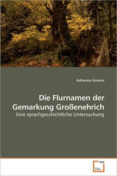 Die Flurnamen Der Gemarkung Großenehrich: Eine Sprachgeschichtliche Untersuchung - Katharina Golenia - Bøker - VDM Verlag Dr. Müller - 9783639219401 - 26. november 2009