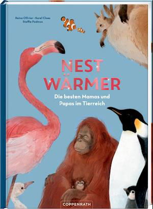 Cover for Reina Ollivier · Nestwärmer (Bok) (2022)