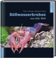 Cover for Chris Lukhaup · Süßwasserkrebse aus aller Welt (Hardcover Book) (2008)