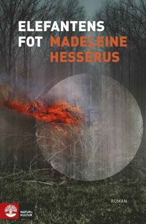 Cover for Madeleine Hessérus · Elefantens fot (Gebundesens Buch) (2016)