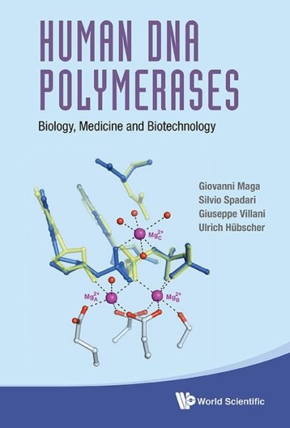 Cover for Maga, Giovanni (Inst Of Molecular Genetics Igm-cnr, Italy) · Human Dna Polymerases: Biology, Medicine And Biotechnology (Gebundenes Buch) (2018)