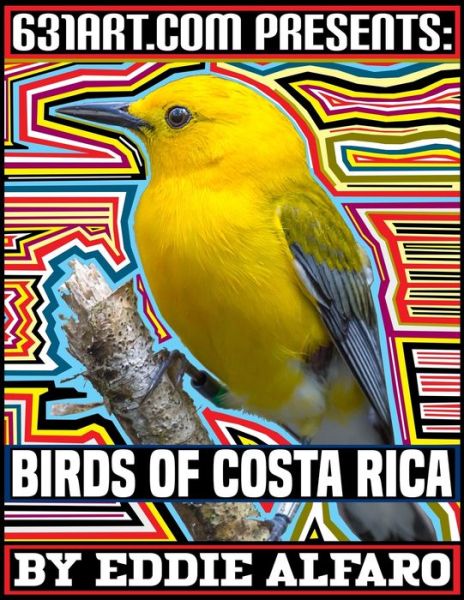 Cover for Eddie Alfaro · Birds of Costa Rica (Paperback Book) (2020)