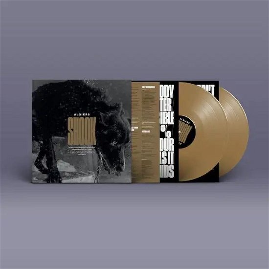 Cover for Algiers · Shook (Gold Vinyl) (LP) [Indie Shop edition] (2023)