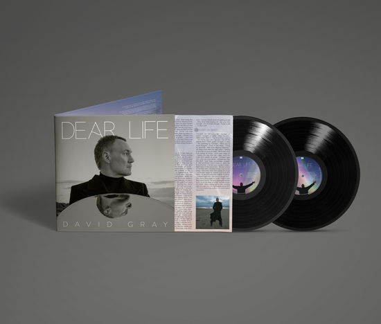 Cover for David Gray · Dear Life (LP) (2025)