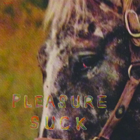 Pleasure Suck - Spirit Of The Beehive - Musik - TINY ENGINES - 0634457133402 - 30. juni 2023