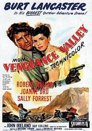 Cover for Vengeance Valley (DVD) (2016)