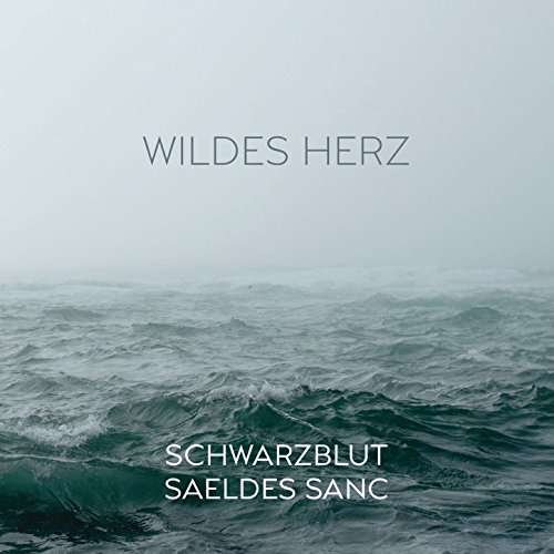 Cover for Schwarzblut Vs Saeldes Sanc · Wildes Herz (CD) [Digipak] (2017)