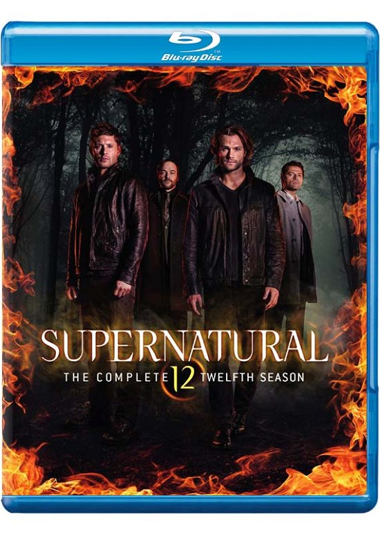 Supernatural - Season 12 (Blu- - Supernatural - Season 12 (Blu- - Movies - WARNER HOME VIDEO - 5051892206402 - September 4, 2017
