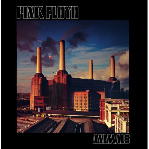 Cover for Pink Floyd · Pink Floyd Greetings Card: Animals (Postkarten)