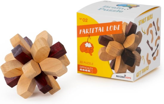 Brain Puzzle #02 Game -  - Böcker - Recent Toys - 8717278851402 - 28 mars 2024