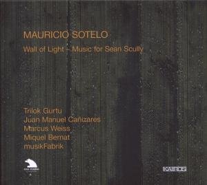 Cover for Sotelo / Bernat / Canizares / Gurtu · Wall of Light (CD) [Digipak] (2009)