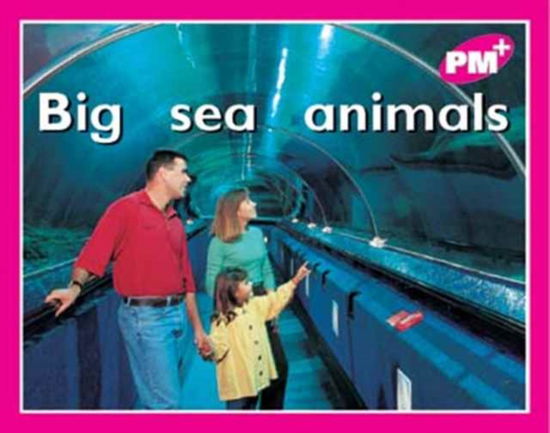 Big sea animals - Jenny Giles - Books - Cengage Learning Australia - 9780170095402 - September 8, 1999