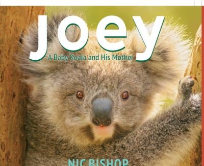 Cover for Nic Bishop · Joey a Baby Koala and His Mother (Book) (2020)