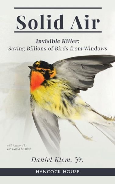 Daniel Klem Jr · Solid Air: Invisible Killer- Saving Birds from Windows (Hardcover Book) (2021)